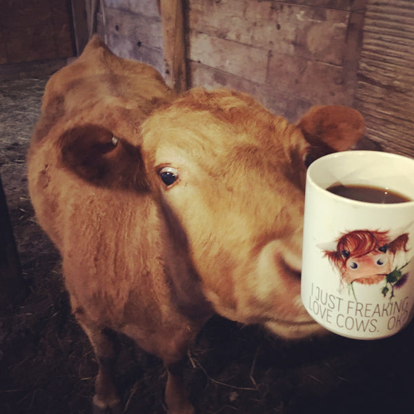 Sweet Caroline’s Light Roast Coffee